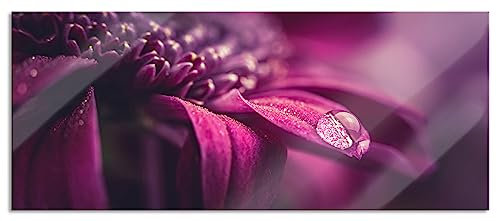 Pixxprint Glasbild Panorama, Wandbild aus Echtglas, Nahaufnahme Tropfen auf lila Blume, 120x50 cm, inkl. Aufhängung und Abstandshalter