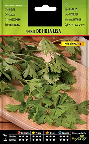 Semillas de Perejil para Huerto Urbano Semillas Fáciles de Germinar