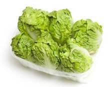 1000 2017 (LAITUE ICEBERG semences potagères Heirloom non-ogm!)