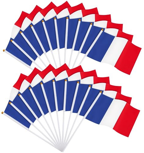 JUNEBRUSHS Lot de 20 mini drapeaux de la France - 14 x 21 cm - Drapeaux nationaux de poche - Décorations 2024 (drapeaux de la France)
