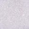 Fuchs seit 1895 Glasgranulat Glassteine 2-4mm 1000g in versch. Farben, Farbe:Natur