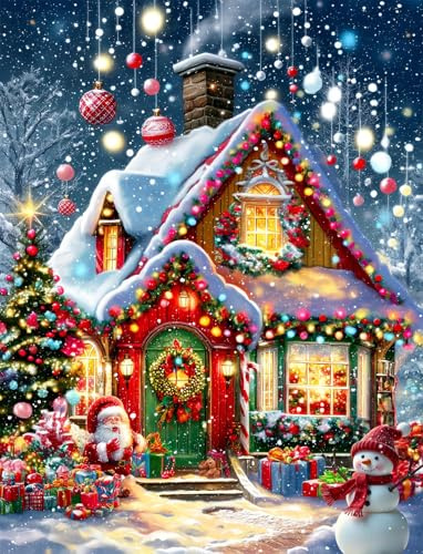 cdsnxore 5D Diamond Painting Kit Christmas Snow House,Diamond Art Kits for Adults, Home Decor, 30x40 cm (309)
