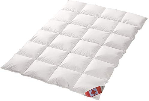 Schäfer Ganzjahres Kassettenstegbett Polaris Premium canadische Daunen Daunenbett 100% Natur Gänsedaunenbett (200x220)