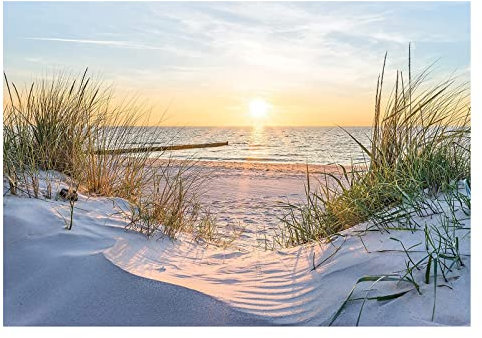 WallArena - Vlies Fototapete Strand Meer Nordsee Dünen Sonne Panorama Natur 416x254 cm - Fototapeten - Tapeten - für Wohnzimmer Schlafzimmer - Vliestapete Wandtapete Tapete 3D Effekt- inkl. Kleister