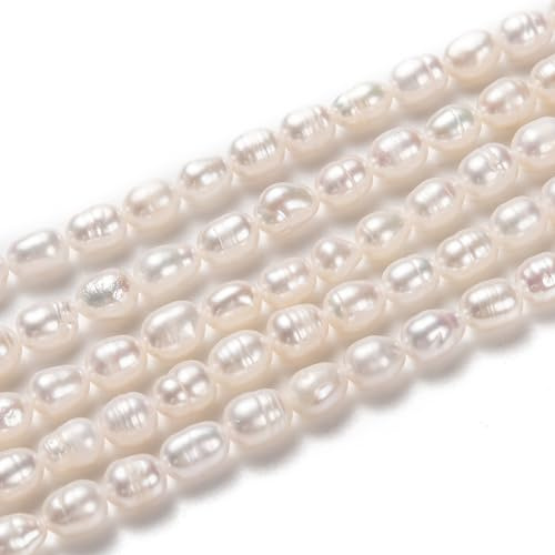 Boutigem 43Pcs Natural Cultured Freshwater Pearl Loose Beads 5-5.5mm for Summer Bracelet Necklace Jewelry Making DIY Crafts