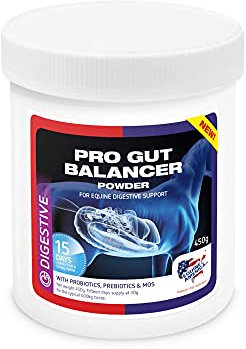 Equine America Pro Gut Balancer | Premium Ready To Use Horse & Pony Supplement | Support For Digestive Function & Performance | 450g