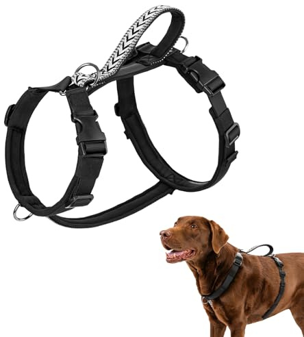 Arblina Imbracatura per Cani, Imbracatura Anti-Tiraggio e Anti-Fuga per Cani Piccoli/Medio/Grandi, Imbracatura a Inserimento Frontale con Clip e Maniglia Morbida, Nero L