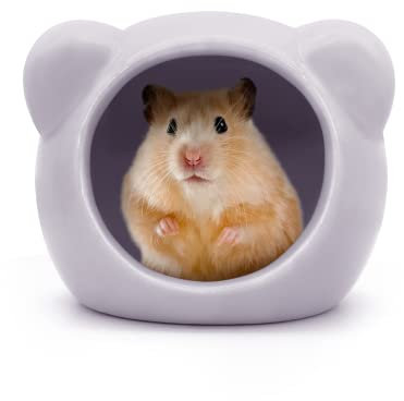 Andiker Hamsterhaus aus Keramik, niedliche Tierform, Hamsterhöhle, Sommer, cooles Kleintierversteck Lebensraum Dekor für Zwerghamster, Rennmäuse, Chinchilla, goldener Seidenbär (Lila, M)