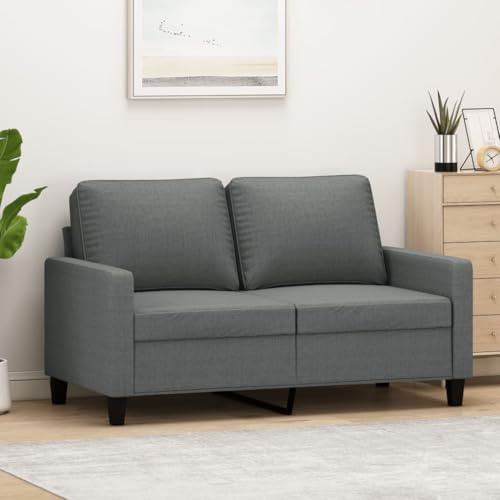 Emmtore Sofá de 2 plazas de Tela,Sofá Sillón de Descanso Relax Color Gris Oscuro 120 cm