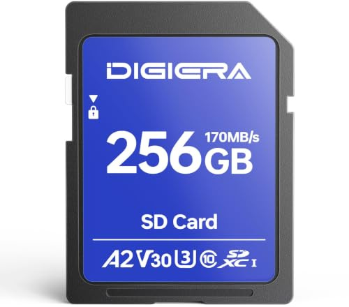DIGIERA 256GB LS100 SDXC UHS-I Memory Card - up to 170MB/s, C10, U3, V30, 4K UHD, SD Card for Computers, Digital Cameras, Home Theatre Devices, Car Navigation Systems (1 Pack)