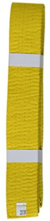 Lisaro kampsportbälte Karate Judo Taekwondo Ju Jutsu BJJ bälte storlek 160–300 cm (gul, 180)