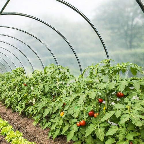 TECPLAST Bâche Serre 6x8 m 200SE - Film Plastique Transparent pour Serre de Jardin - Haute Performance - Made in France
