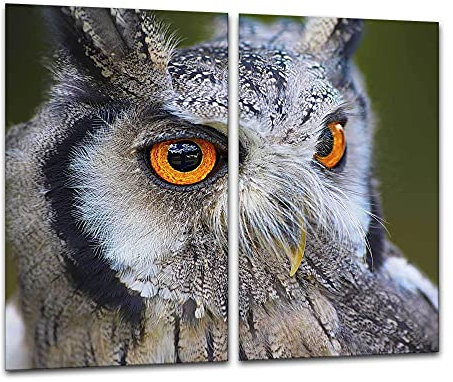 ewaschbaer Herdabdeckplatten Ceranfeldabdeckung Spritzschutz Glas 2x30x52 Eule Beige Vogel