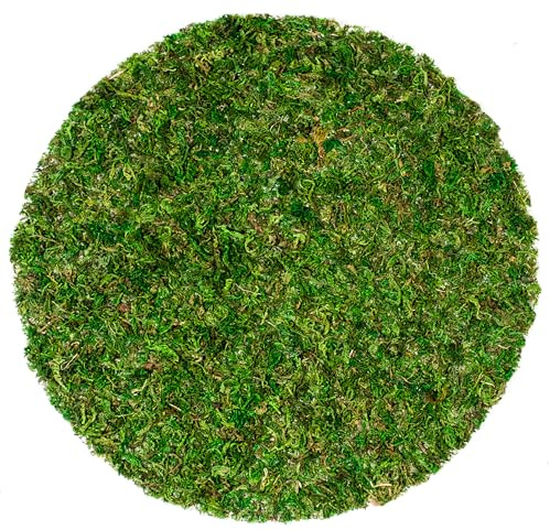 SuperMoss (26320) Moss Soil Toppers (Place Mats), Fresh Green, 14 (3 units)
