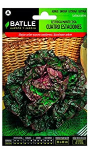 Semillas Batlle Laitue pommée 4 Stations