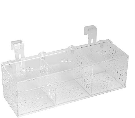Uppfödningsisoleringslåda, akvarium för akvarium Domestikering Inkubator Transparent akrylakvarium Terrarium Aggressiv fisk sårad fiskodling Terrarium(30CM*10CM*10CM)