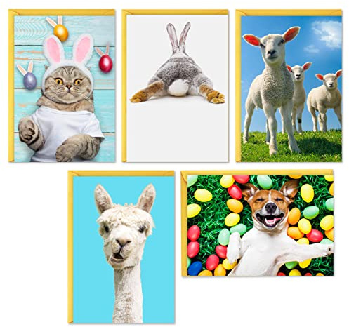 Hallmark Easter Cards Assortment, 5 Cards with Envelopes (Dog, Cat, Llama, Lambs, Bunny)