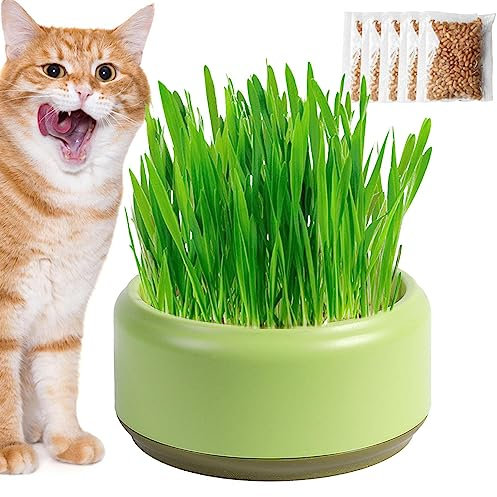 Storaffy Katzengras Hydrokultur Topf | Katzengras Topf für Hauskatzen | Katzengras Wachsende Schale Pflanzentöpfe | Katzensnacks Hydroponik Wachstum Schalen Tabletts Heimtierbedarf für Kätzchen