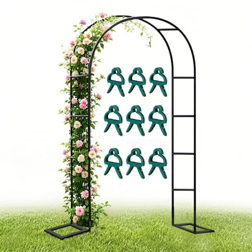Arche de jardin en acier inoxydable durable - Treillis résistant aux intempéries pour plantes grimpantes - Tonnelle en métal avec base - 200 cm x 250 cm - Structure de soutien parfaite pour roses et
