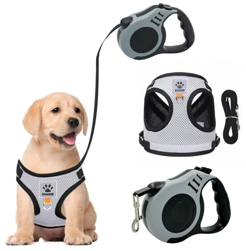 BKEPDY Pettorina Gatto con Guinzaglio Riflettente Regolabile Antieruzione Guinzaglio per Gatti Allungabile per Cuccioli o Gatti Passeggiate all'aperto in Maglia Traspirante (L)