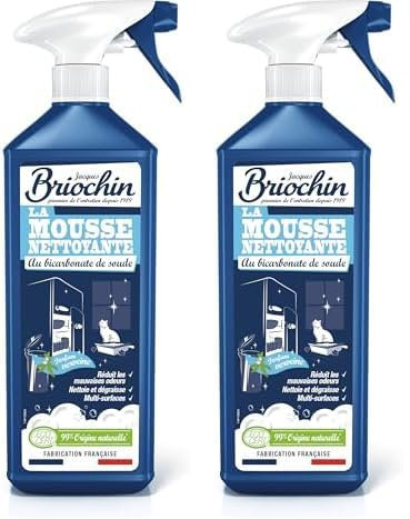 JACQUES BRIOCHIN DROGUISTE DEPUIS 1919 - Nettoyant Anti-Odeurs - Au Bicarbonate de Soude - Texture Mousse - Parfum Verveine- Multi-usages - Séchage Rapide - Ecocert - Fabrication Française - 750 ml