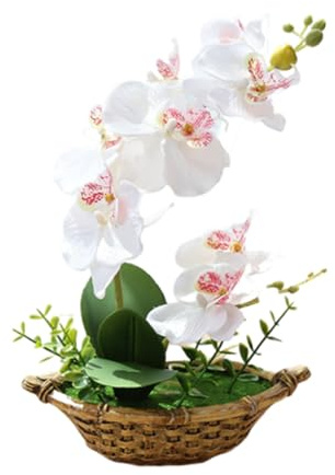Generico 1 Pezzo Orchidee Bianche Artificiali in Vaso Simulazione Viola in Vaso Orchidea Farfalle Composizione Floreale Decorative Arredamento per la Casa Orchidea Verde 27 cm (bianco)