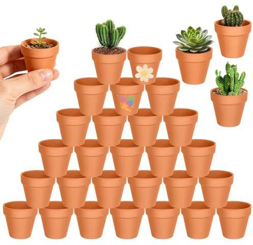 Forbabe 30 ollas de barro pequeñas, 4,5 x 4,5 cm, reutilizables, terracota pequeña