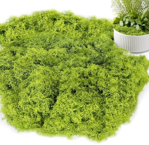 vnfsmy 200g Kunstmoos zum Dekorieren MoosDeko, Kunstmoos zum Basteln Künstliches Moos Deko, Kunst Moos Fake, Kunstmoos zum Dekorieren, Islandmoos, Kunstrasen zum (Grün)