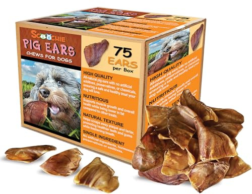 Scoochie Pet Brazilian Pig Ears - All-Natural Dog Chews, 75 Pack Pig Ears for Dogs, Chemical-Free, Long-Lasting Treat