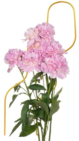 Zunetsutock Tutor para Plantas De Interior | Estructura Trepadora para Tomates | Soporte Trepador de 46 cm para Plantas de Interior en Maceta Hidroponía Invernadero Jardinería Balcón Patio