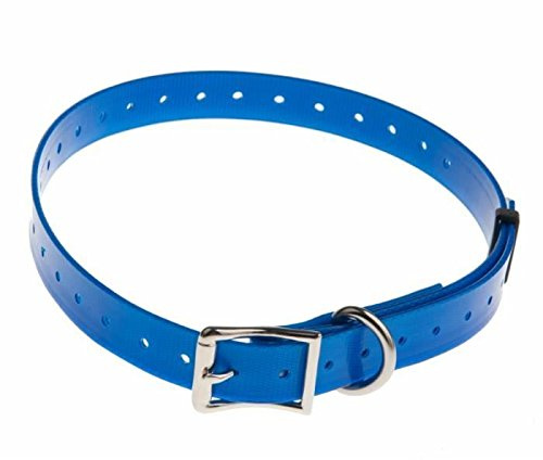 Blå polyuretanrem längd 65 cm - bredd 25 mm