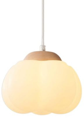 HAIDU E27 Light Source Single-Head Chandelier, Nordic Industrial Style Pendant Light, Flush Mount Ceiling Lighting Fixtures, Bedroom Restaurant Bar Decoration Hanging Lamp