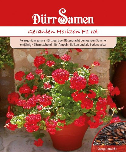 Dürr Samen 1159 Geranie Horizon F1 rot (Geraniensamen)
