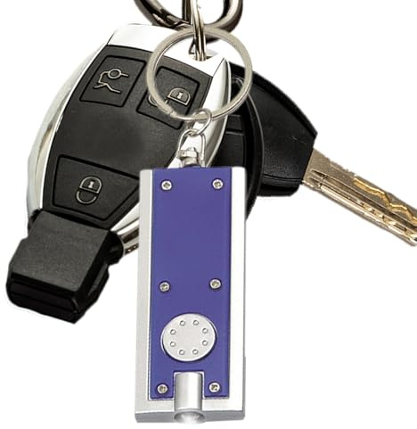 Porte-clés lumineux – Petite lampe de poche | Porte-clés LED | lampe torche d'extérieur ultra lumineuse légère pour l'extérieur, le camping, les fêtes, la randonnée