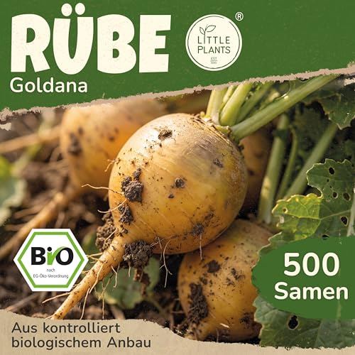 Little Plants BIO Rüben Samen 500 Rübensamen Goldana Mairübe Gemüsesamen Gemüsesaatgut Samenfest für Gemüsegarten, Hochbeet, Küche, Balkon und Garten