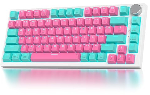 SOLIDEE Trådlöst 75-procentigt Mekaniskt Tangentbord med Knopp,Bluetooth 5.0/2.4GHz/USB-C Gasket Mount Tangentbord,Hot Swappable/RGB Belysning Mekaniskt Speltangentbord med Cream Grey Switch(82 Miami)