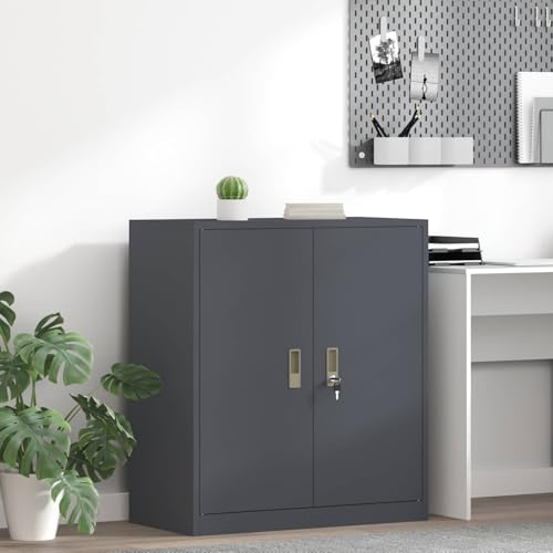 Drillkyn Förvaringsskåp, antracit, 80 x 40 x 90 cm, stål, modernt aktskåp, kontorsskåp, dokumentskåp, förvaringsskåp med låsbara dörrar för kontor, arbetsrum, hemmakontor, effektiv