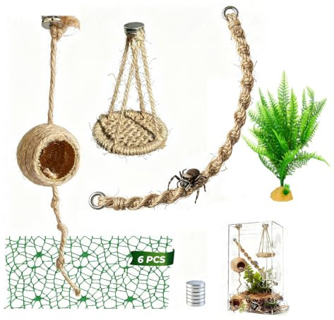 Mfqire Kit 16 Pièces Accessoires Araignée Sauteuse avec Hamac et Nid | Comprend hamac, nid, pont, balançoire, filet, plateforme, mousse et accessoires pour terrarium d'araignée sauteuse