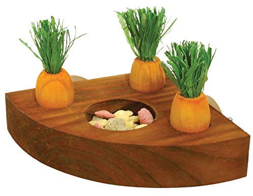 Rosewood 19260 Boredom Breaker Carrot Toy 'n' Treat Holder for Small Animals, transparent
