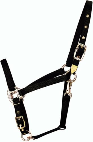 Hamilton 3/4-Inch Nylon Arabian Horse Halter with Adjustable Chin and Throat Snap, Average, 800 to 1100 pounds, Black