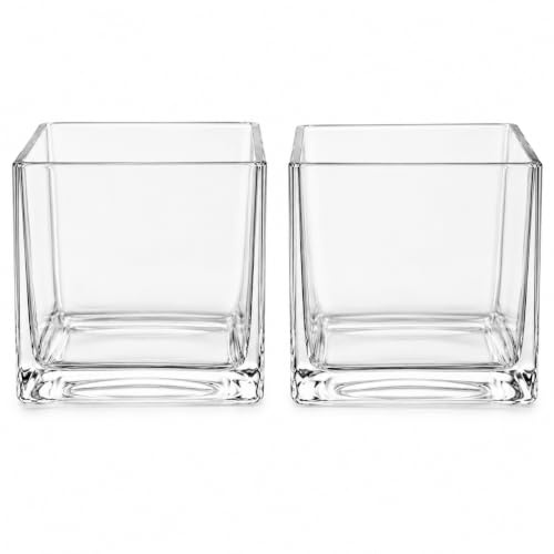 Floralcraft® 14cm Glass Cube Vase Flowers Vase Decorative Centerpiece for Floral Arrangements, Home Decor Wedding Party, Planter Terrarium Candle Holder (Set of 2)