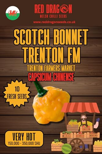 Scotch Bonnet Trenton Farmers Market Chilli Seeds - 10 Fresh Scotch Bonnet TFM Pepper Seeds