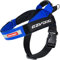 EZYDOG Express Hundegeschirr | Hundegeschirr für kleine, mittelgroße und große Hunde, abgewinkeltes, ergonomisches Design, geformter Griff, leicht zu lösende Seitenschnalle (S, Blau)
