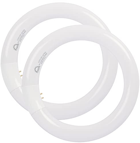 COOGGALAN 20,3 cm T9 22 Watt Lampadine rotonde FC8T9/DX fluorescente circolare, FC8T9/DL 22 W Circline, luce diurna 6400K, G10q 4 pin base, confezione da 2