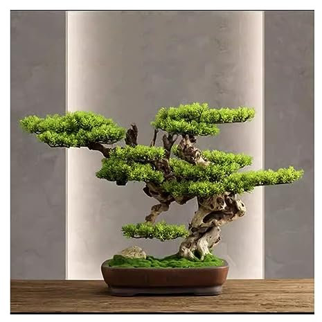Bonsai Artificiale, Pino Artificiale, Benvenuto Bonsai, Albero Finto, Salotto, Veranda, Sala Da Tè, Tavolo, Decorazione, Piante, Piante Finte, Decorazione,