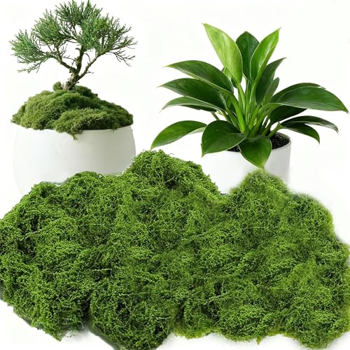 HanYun 100g Artificial Fake Moss Decorative, Fake Bulk Sphagnum Moss for Plant Garden Indoor Plant Pots, perfect for Floral Arrangements and DIY Decorations (Green)
