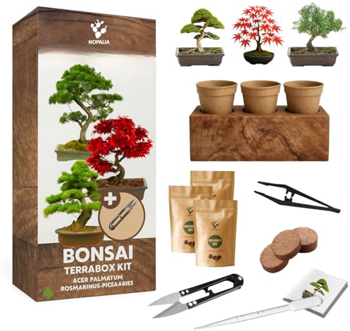 NOPALIA® Kit Bonsaï 3 Espèces Bio Prêt à Pousser avec Outils Pro (Pince, Ciseaux, Pipette), Pots, Terre & Boîte-Socle Innovante - Garantie 95% Germination - Idée Cadeau Zen Noël Made in France