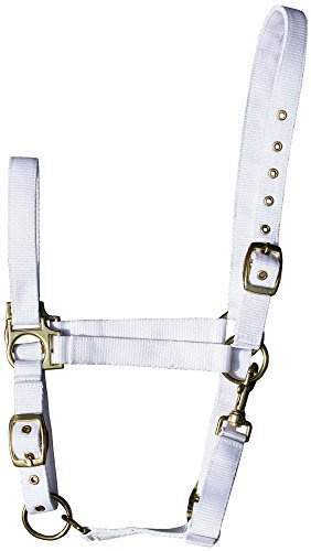Harry' s Horse 31000410 – 04 COB halfter 3 X Regolabile – COB, M, Bianco