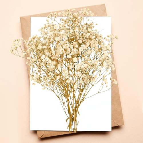 Flores secas de Gypsophila, Gypsophila Amarilla Clara, para Manualidades, Resina, Scrapbooking, joyería, Decoraciones Florales