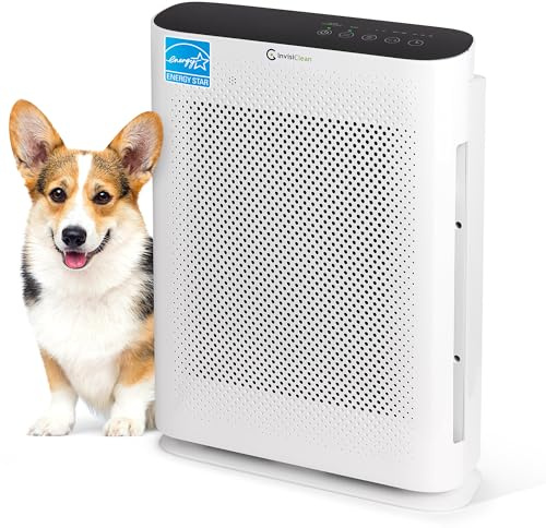 Air Purifier for Home Allergies & Pets | 4-in-1 H13 True HEPA Filter/Ionizer/Carbon + UV Light | Portable Air Purifiers for Large Room & Bedroom Odor Elimination - InvisiClean Aura II